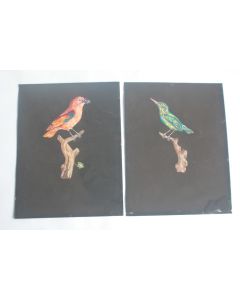 Dessins originaux gouache Oiseaux