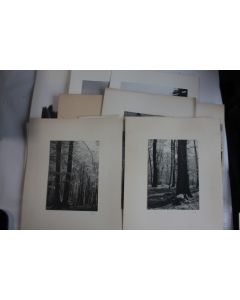 Photographies d'art Paysages Nature Atelier Borel-Boissonnas