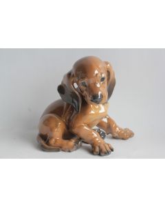 ROSENTHAL Chien Teckel Théodore Karner Allemagne