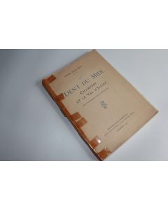 Livre La dent du midi Champéry et le val d'Illiez Daniel Baud Bovy 1923