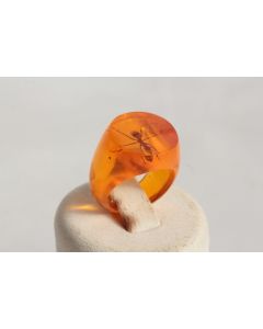 Bague résine ambre inclusion Fourmis vintage T45