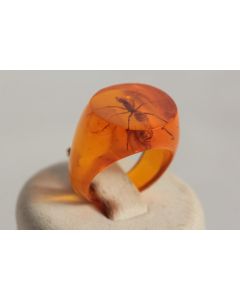 Bague résine ambre inclusion Fourmis vintage T46