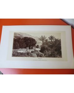 Photo Monaco - Les Jardins du Casino de Monte-Carlo