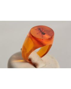 Bague résine ambre inclusion Fourmis vintage T50