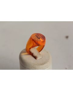 Bague résine ambre inclusion Fourmis vintage T51