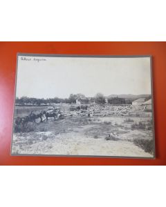 Photo Société Française d'Exploitations Forestières Oran Algérie 1913