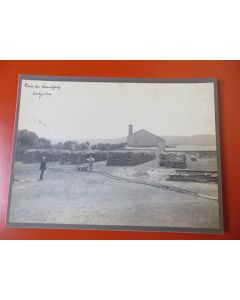 Photo Société Française d'Exploitations Forestières Oran Algérie 1913