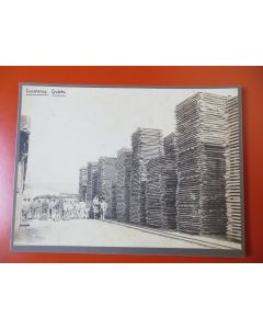 Photo Société Française d'Exploitations Forestières Oran Algérie 1913