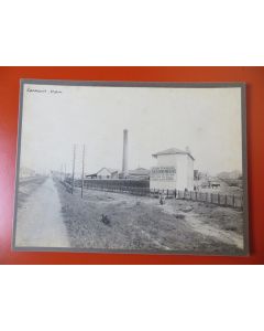 Photo Société Française d'Exploitations Forestières Oran Algérie 1913