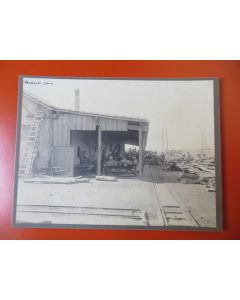 Photo Société Française d'Exploitations Forestières Oran Algérie 1913
