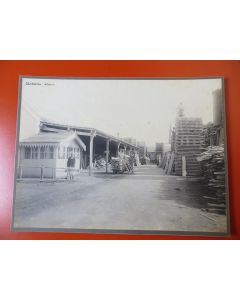 Photo Société Française d'Exploitations Forestières Oran Algérie 1913