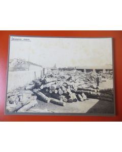 Photo Société Française d'Exploitations Forestières Oran Algérie 1913