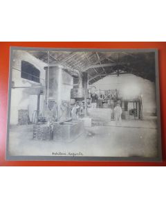 Photo Société Française d'Exploitations Forestières Oran Algérie 1913
