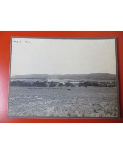 Photo Société Française d'Exploitations Forestières Oran Algérie 1913