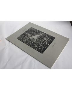 Portfolio André Clerc Vanils Xylon 138 Gravures 2009