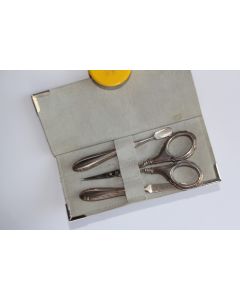 Ensemble de manucure argent