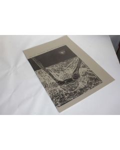 Portfolio Theo Hurter die dunkle seite des mondes Xylon 121 Gravures 2003