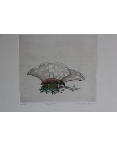 Lithographie Hans Rudolf AMBAUEN Professor