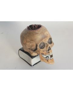 Pyrogène Crâne Memento mori Franc-maçon porcelaine biscuit