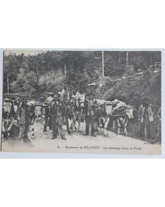 CPA Belfort Attelage dans la forêt