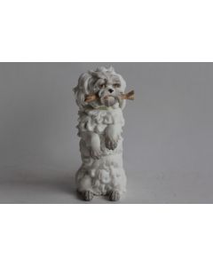 VOLKSTEDT Chien de Bologne porcelaine biscuit XVIIIe siècle