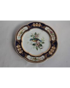 Assiette porcelaine oiseau mésange Royal Crown Derby