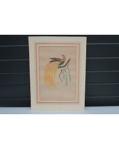 Gravure originale Le Paradis éclatant Barraband Perée