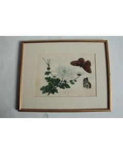 Peinture sur papier de riz Chrysanthème Papillons Libellule Chine