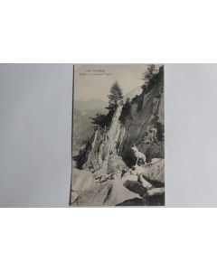 CPA Les Pyrénées La Chasse à l'Isard