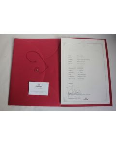 OMEGA Extrait d'archive Montre