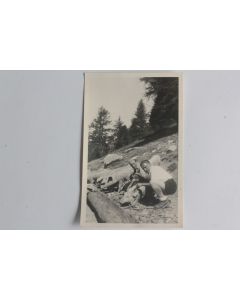 CPA Suisse Élevage de cochons