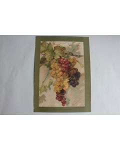 Estampe Raisins Journal décoration Johana Beckmann 1900