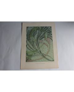 Estampe Poissons Journal décoration H. De Waroguier 1900