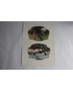 Estampe Paysages Saisonnier Journal décoration Jul. Menzel 1900