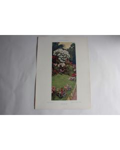 Estampe Paysage décoratif Journal décoration Ludwig Kuba 1900