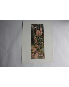 Estampe Mauves Journal décoration Max Frohberg 1900
