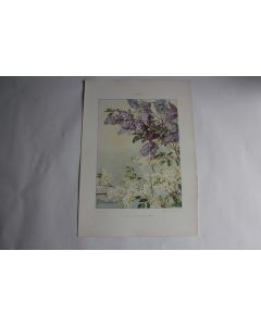 Estampe La seringues Journal décoration G. Maschke 1900
