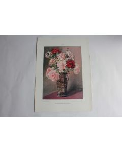 Estampe L'œillets Journal décoration K. Petschauer 1900