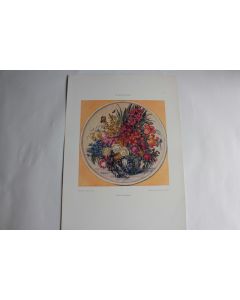 Estampe Vase à fleurs Journal décoration Martin Lehmann 1910