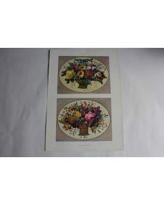 Estampe Vase à fleurs Journal décoration Arno Drescher 1910