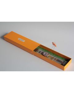 SWATCH Montre Gent Sweet Teddy GJ121