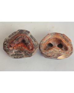 Matrice Moule plâtre de staffeur Ornement