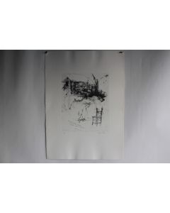 Gravure Eau forte originale Walter Piacesi