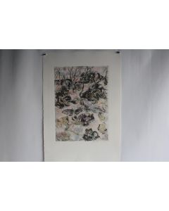 Gravure Eau forte originale Walter Piacesi