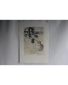 Gravure Eau forte originale Walter Piacesi