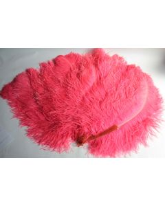Ancien Grand Éventail Plumes d'autruche Rose