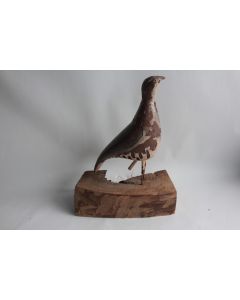 Ancien Appelant Perdrix sifflet tôle peinte