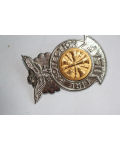 Insigne Pompier Fire protection USAF United States Air Force