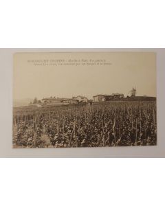 CPA Saône et Loire Romanèche-Thorins Moulin à Vent Vin Vignes