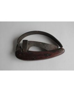 Ancienne Rainette de forestier